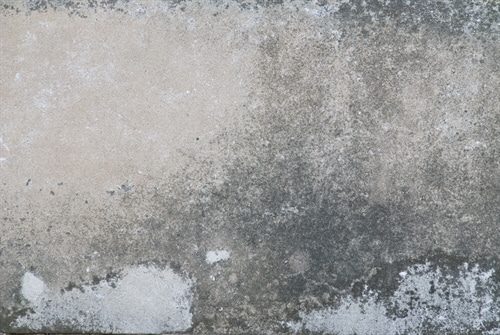 schimmel-wand