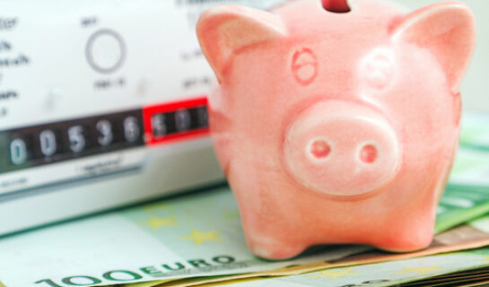 Betriebskostenabrechnung – Verstoß gegen Wirtschaftlichkeitsgebot